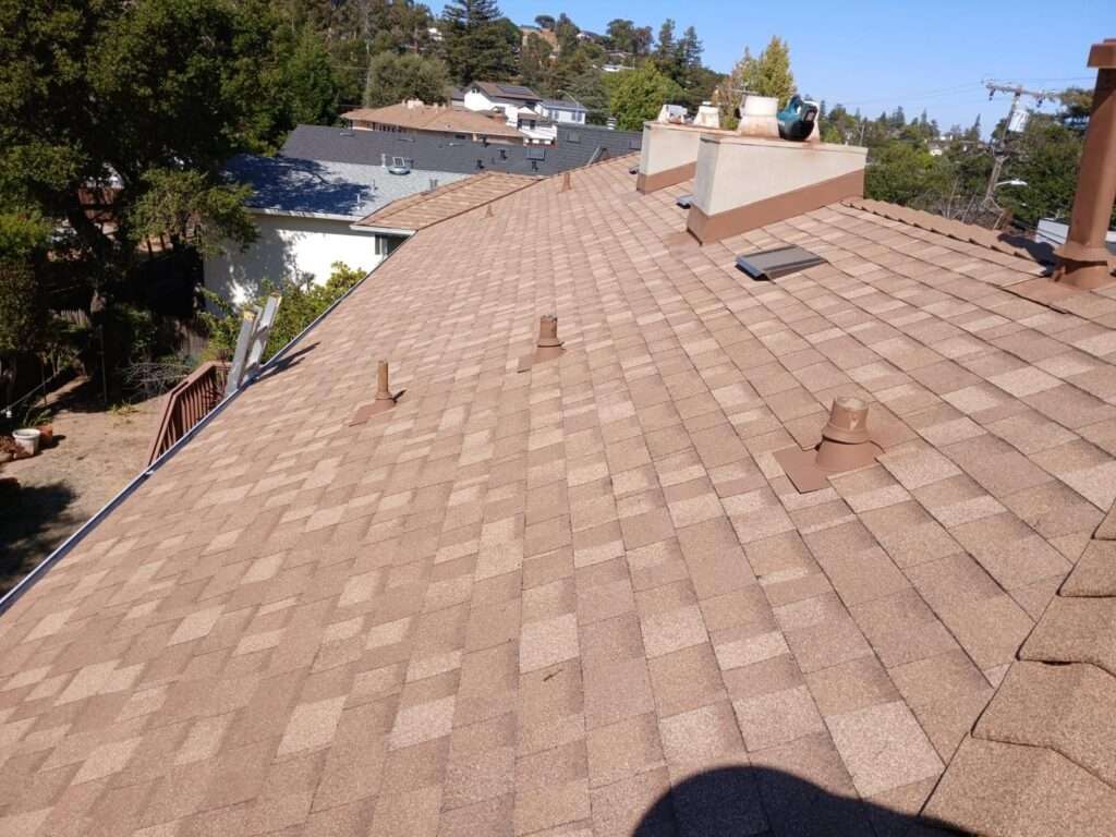 roofing contractor