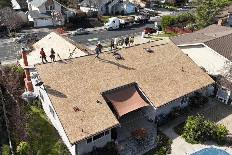 tile roof cleaning